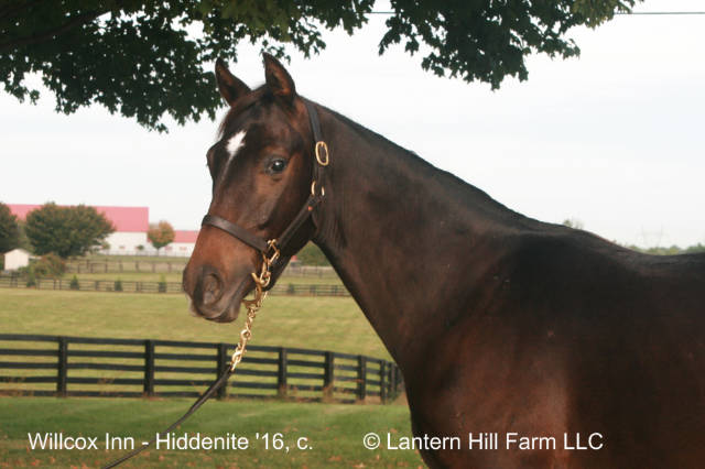 10/12/2017 Hiddenite '16