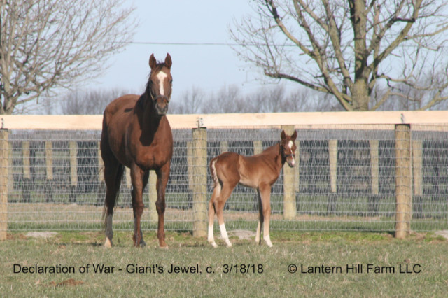 3/19/2018 Giant's Jewel 18