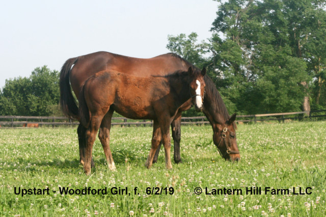 6/2/2019 Woodford Girl 19