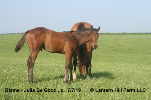 7/8/2019 Julie Be Good 19