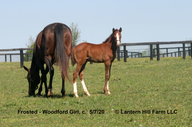 5/9/2020 Woodford Girl 20