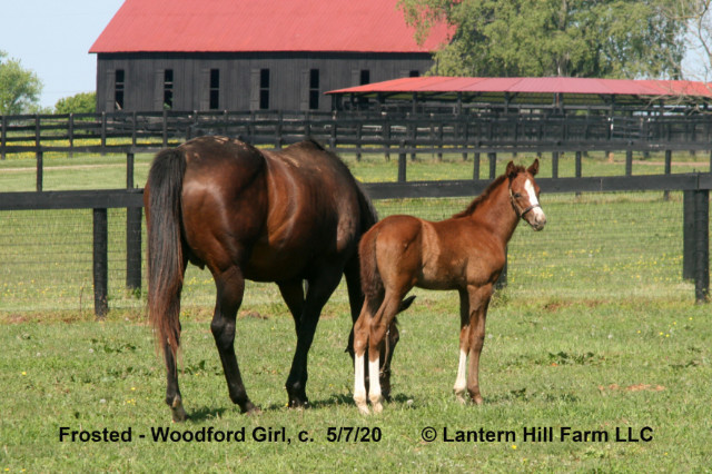 5/9/2020 Woodford Girl 20