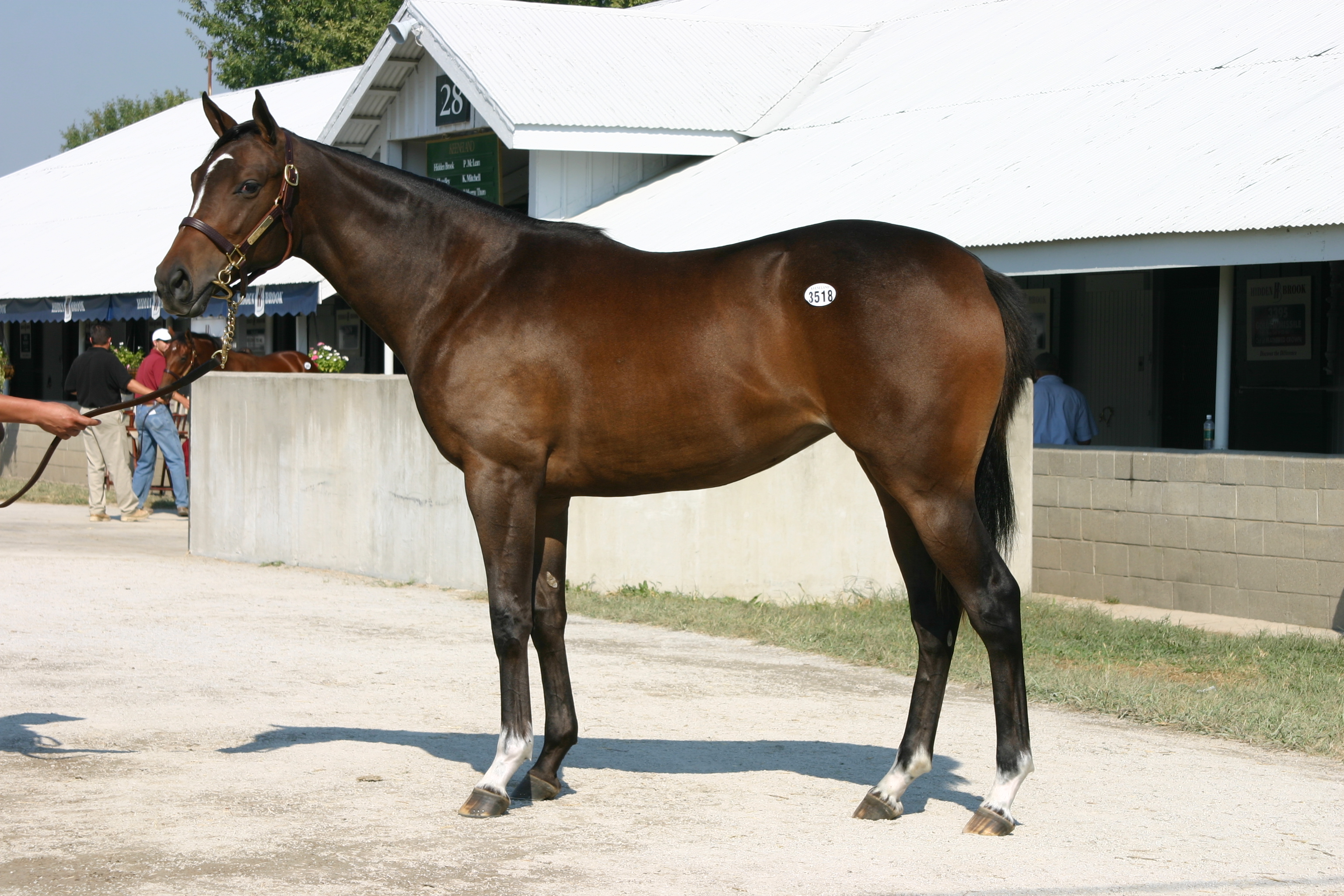 Girls Image at Keeneland September 2007