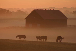 September Sunrise Behind Barn E