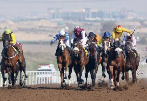 Teriffic Challenge (yellow right) wins the Jebel Ali Sprint (Credit: Oliver Clarke/Gulf News)