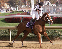 Dreaming of Anna wins Breeders' Cup Juvenile Fillies, 2006