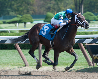 Archwarrior winning MSW at Saratoga