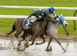 Capt. Candyman Can and Vineyard Haven trying to occupy the same spot in the Saratoga stretch, King's Bishop S. (G-1)