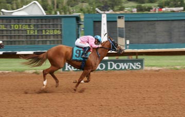 Winter Book winning Aspen Cup S.  (Gay Harris - Photo)