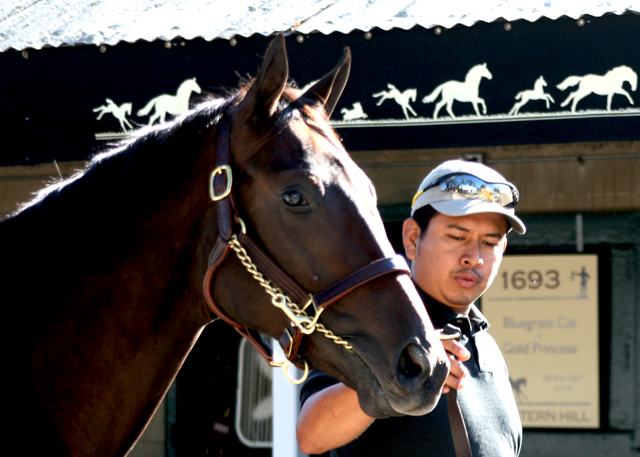 Hip 1780, Buyer: Ron Winchell