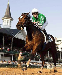 Capt. Candyman Can wins 2008 Iroquois Stakes at Churchill Downs with Julien Leparoux